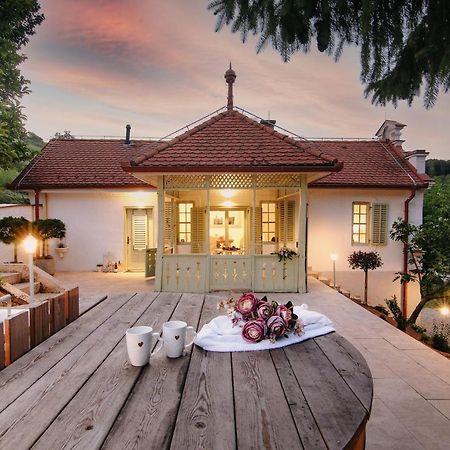 Vila Vilma Vineyard Cottage Lendava Eksteriør billede