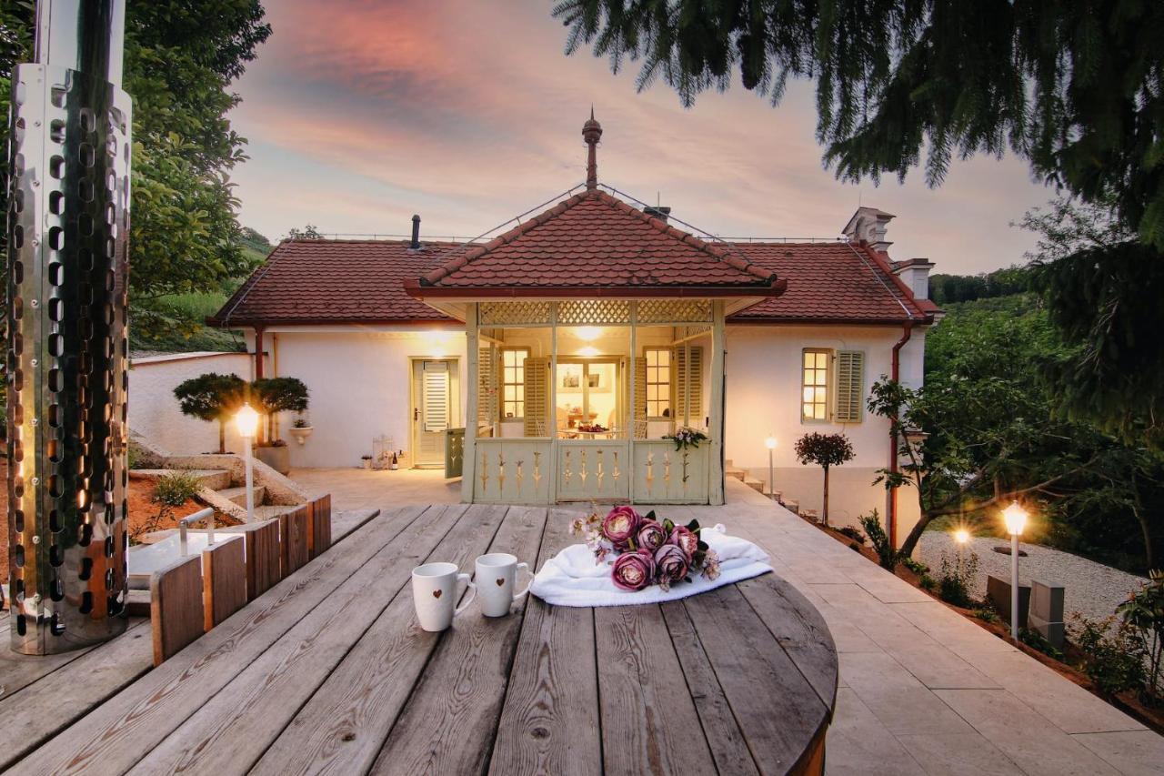Vila Vilma Vineyard Cottage Lendava Eksteriør billede