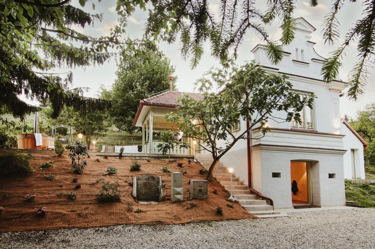 Vila Vilma Vineyard Cottage Lendava Eksteriør billede